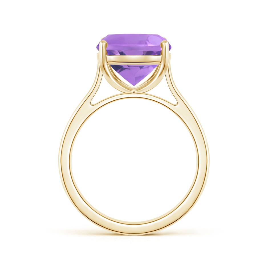 12x10mm A Classic Cushion Amethyst Solitaire Ring with Hidden Accents in Yellow Gold side 199