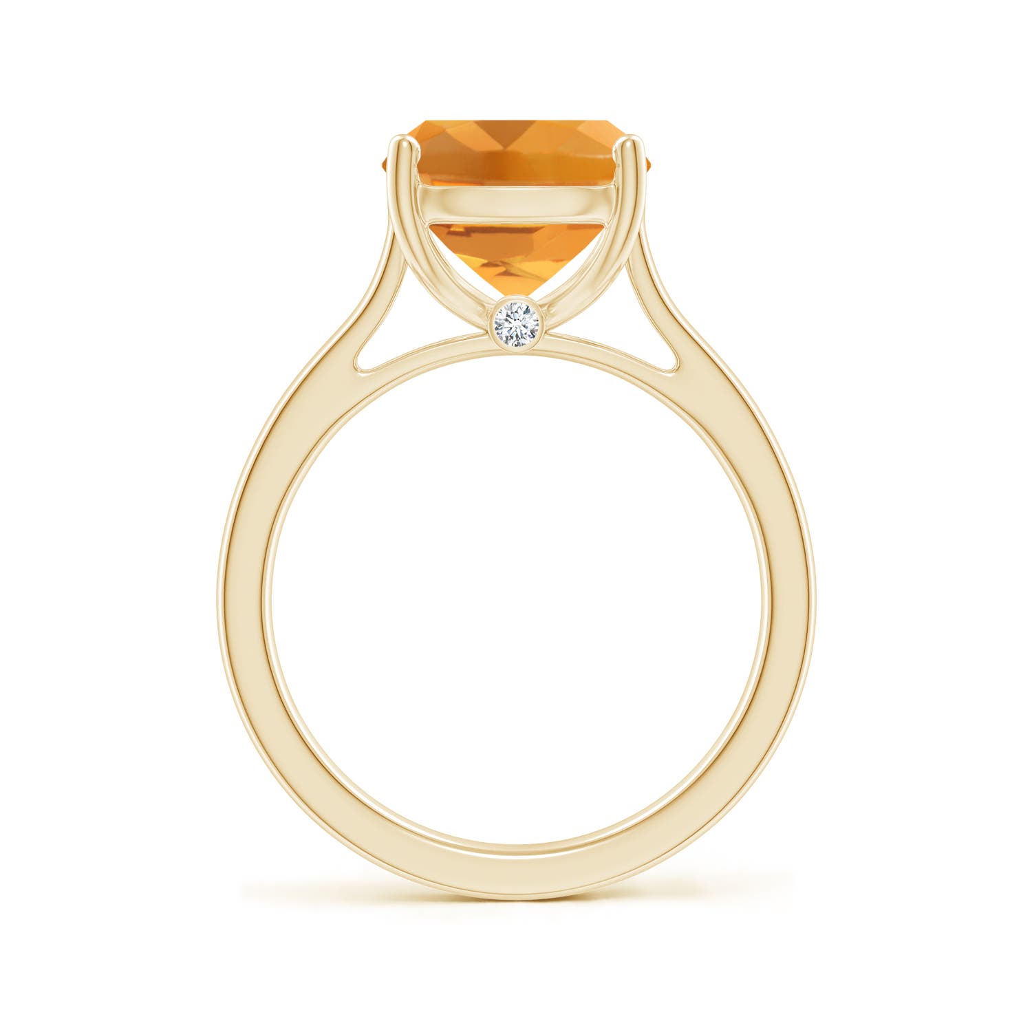 AA - Citrine / 3.73 CT / 14 KT Yellow Gold