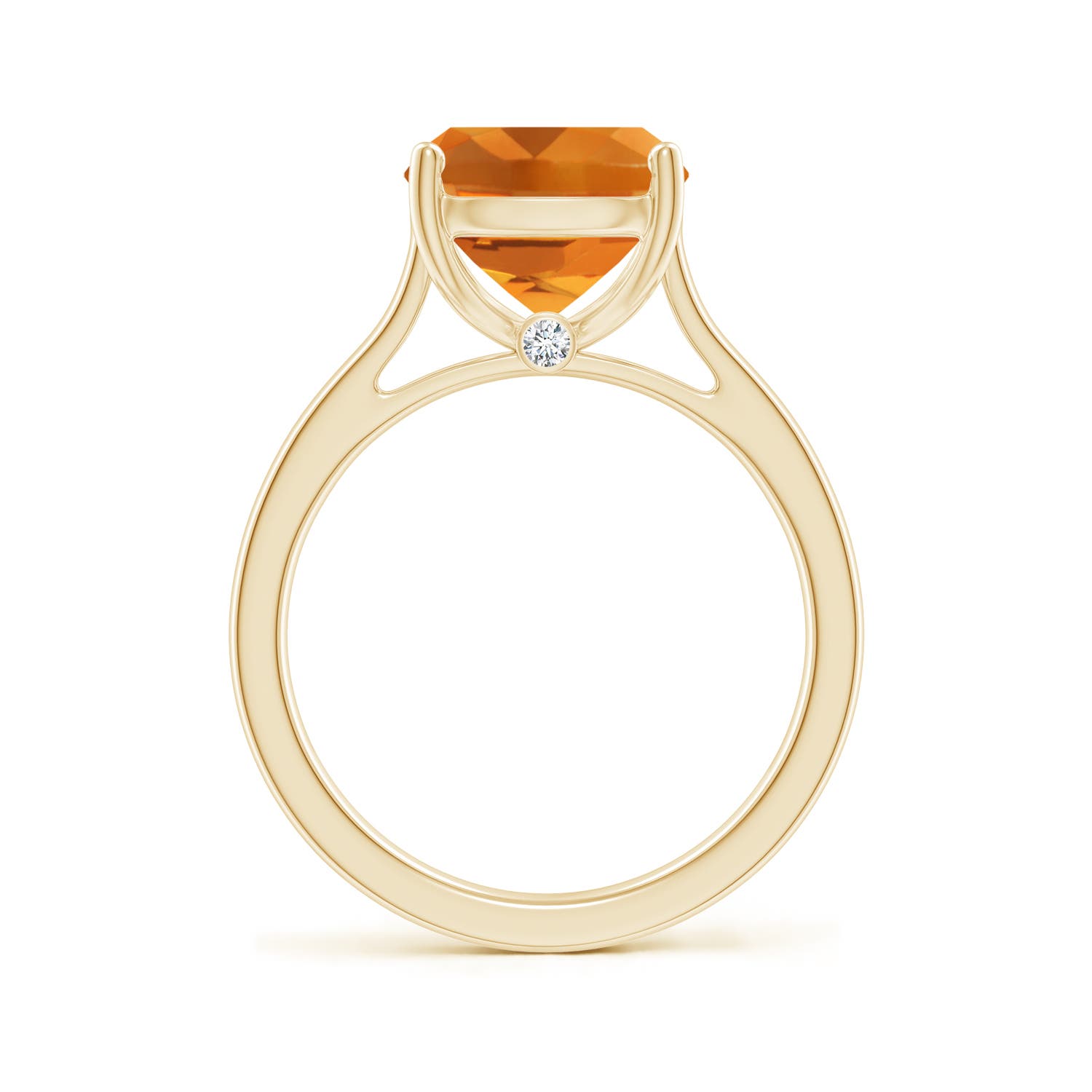 AAA - Citrine / 3.73 CT / 14 KT Yellow Gold