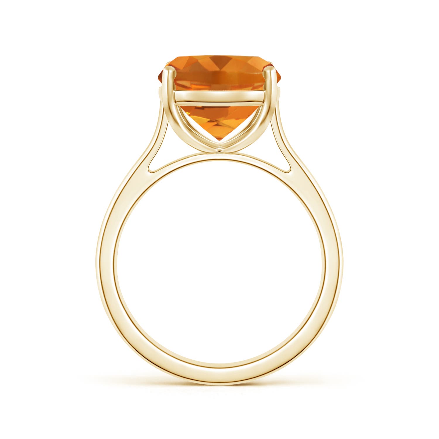 AAA - Citrine / 4.74 CT / 14 KT Yellow Gold