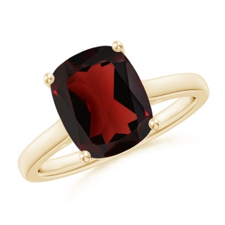 Cushion Rectangular AA Garnet