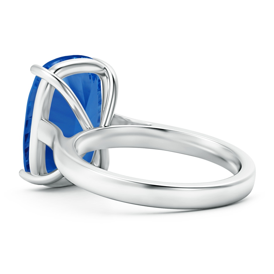 11.83x8.83x7.33mm AAAA GIA Certified Classic Cushion Blue Sapphire Solitaire in White Gold side 499