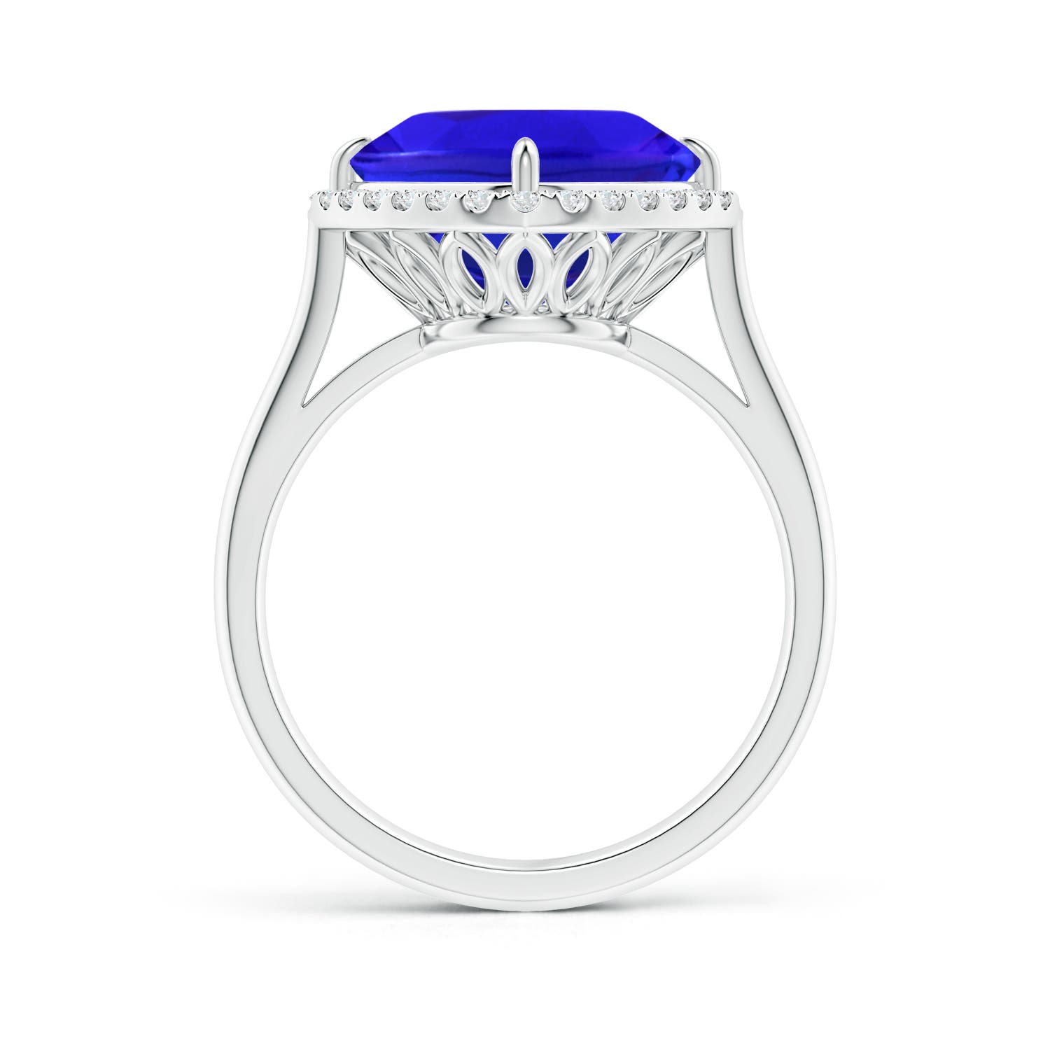 AAA - Tanzanite / 4.72 CT / 14 KT White Gold