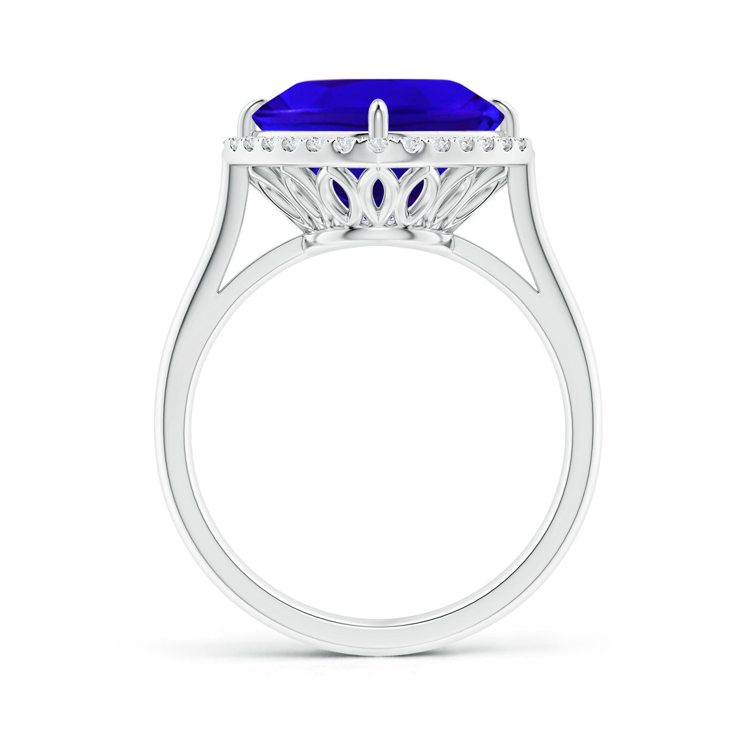 AAAA - Tanzanite / 4.72 CT / 14 KT White Gold