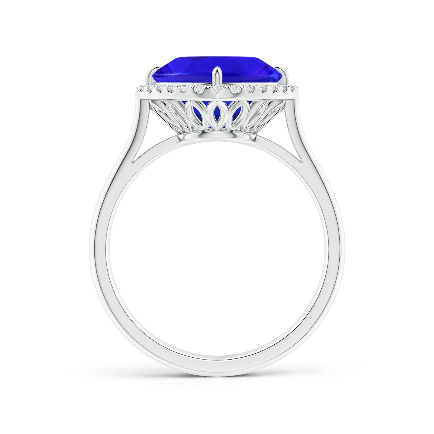 AAA - Tanzanite / 3.97 CT / 14 KT White Gold