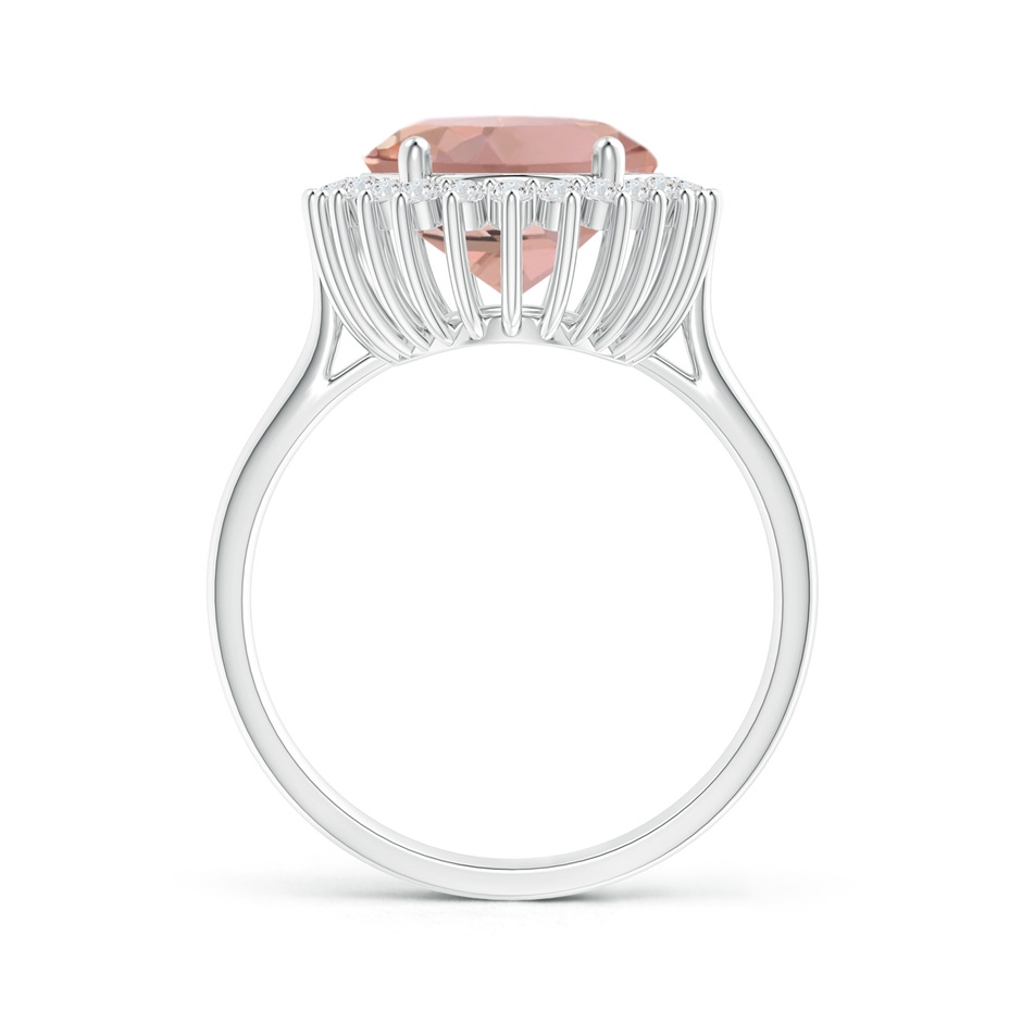 16x12mm AAAA Classic Oval Morganite Floral Halo Ring in P950 Platinum product image