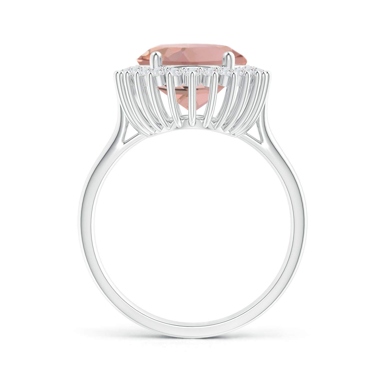 AAAA - Morganite / 9.5 CT / 14 KT White Gold