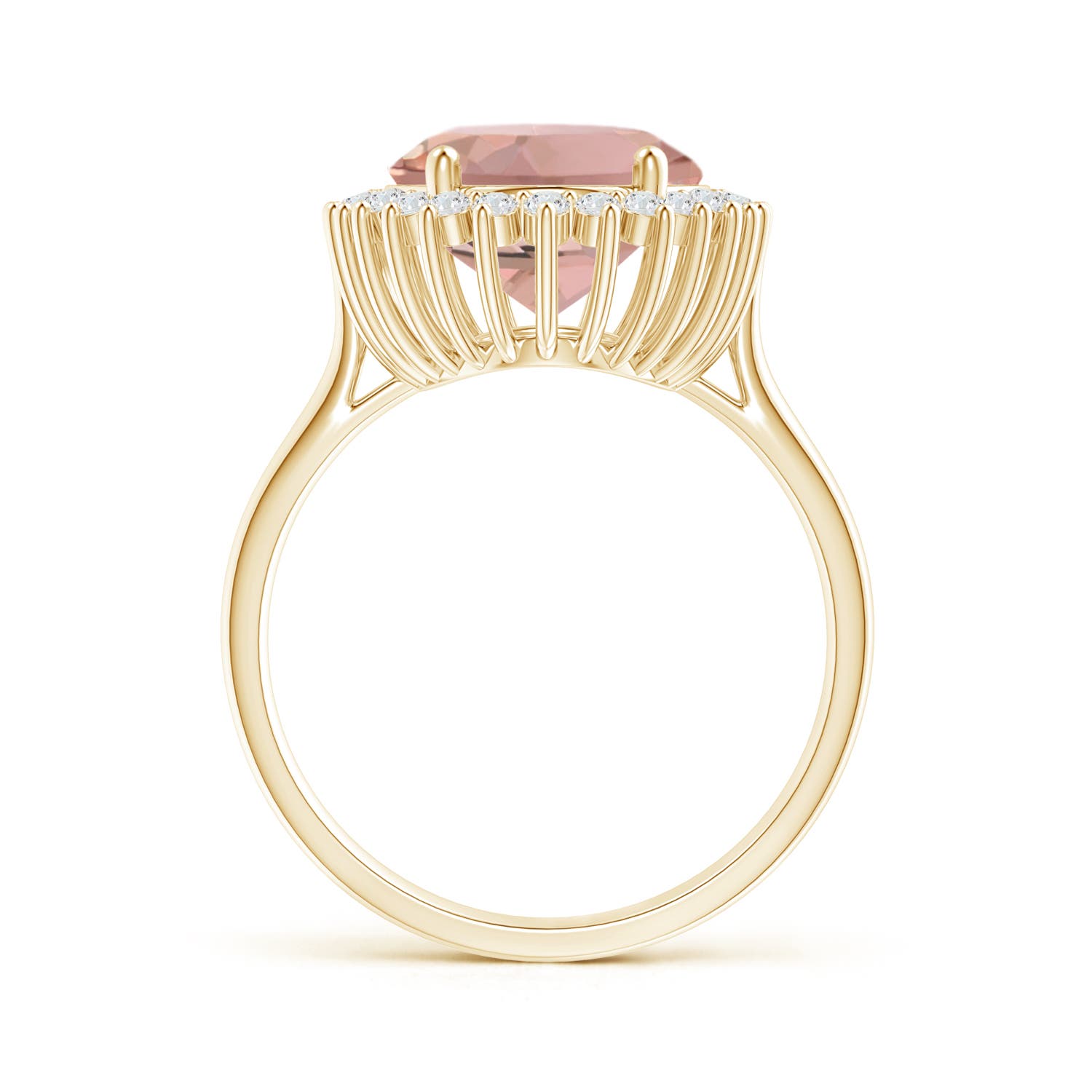 AAAA - Morganite / 9.5 CT / 14 KT Yellow Gold