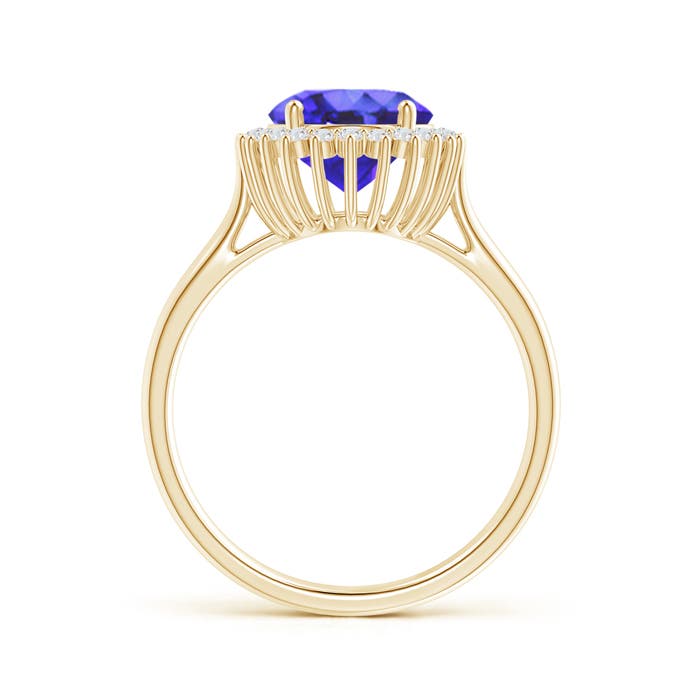 AA - Tanzanite / 3.09 CT / 14 KT Yellow Gold