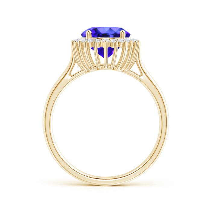 AAA - Tanzanite / 3.09 CT / 14 KT Yellow Gold