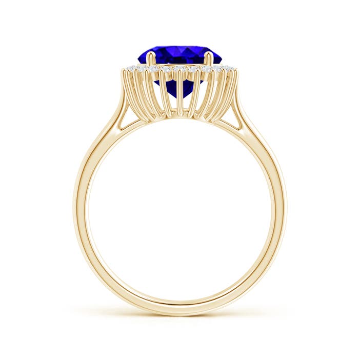 AAAA - Tanzanite / 3.09 CT / 14 KT Yellow Gold