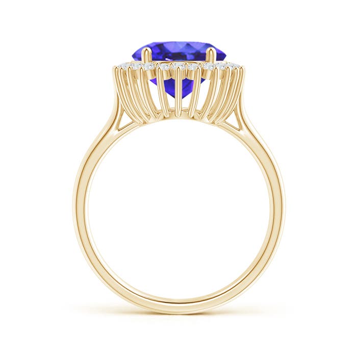 AA - Tanzanite / 3.74 CT / 14 KT Yellow Gold