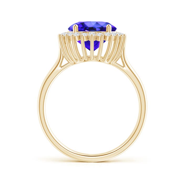 AAA - Tanzanite / 3.74 CT / 14 KT Yellow Gold