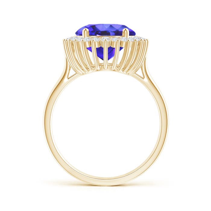 AA - Tanzanite / 6.34 CT / 14 KT Yellow Gold