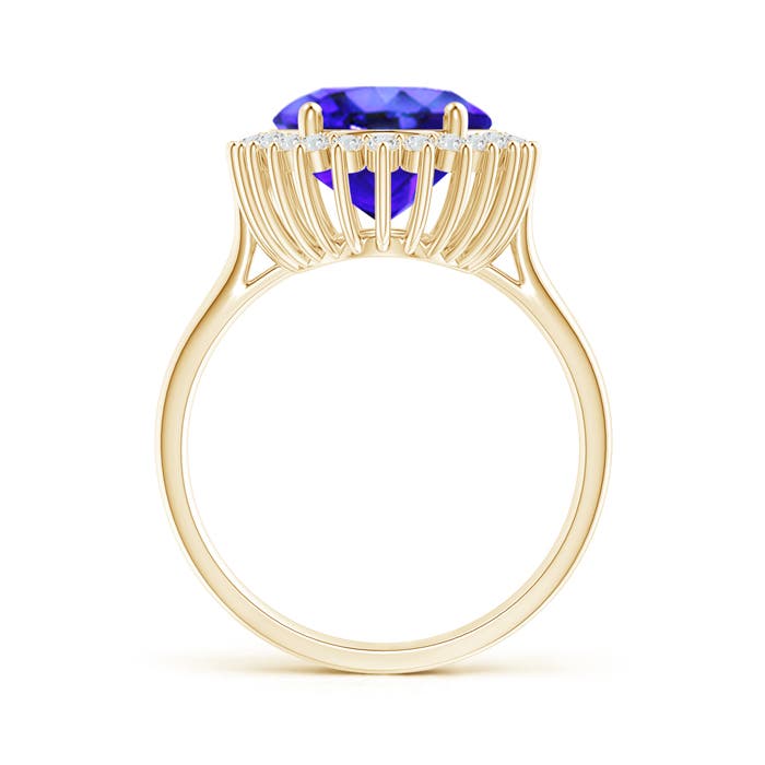 AAA - Tanzanite / 6.34 CT / 14 KT Yellow Gold