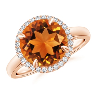 10mm AAAA Round Citrine Cathedral Ring with Diamond Halo in Rose Gold
