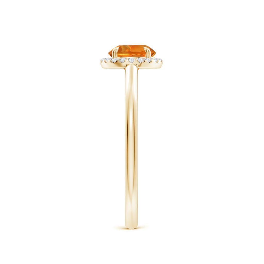 6mm AAAA Round Citrine Cathedral Ring with Diamond Halo in Yellow Gold Side-2