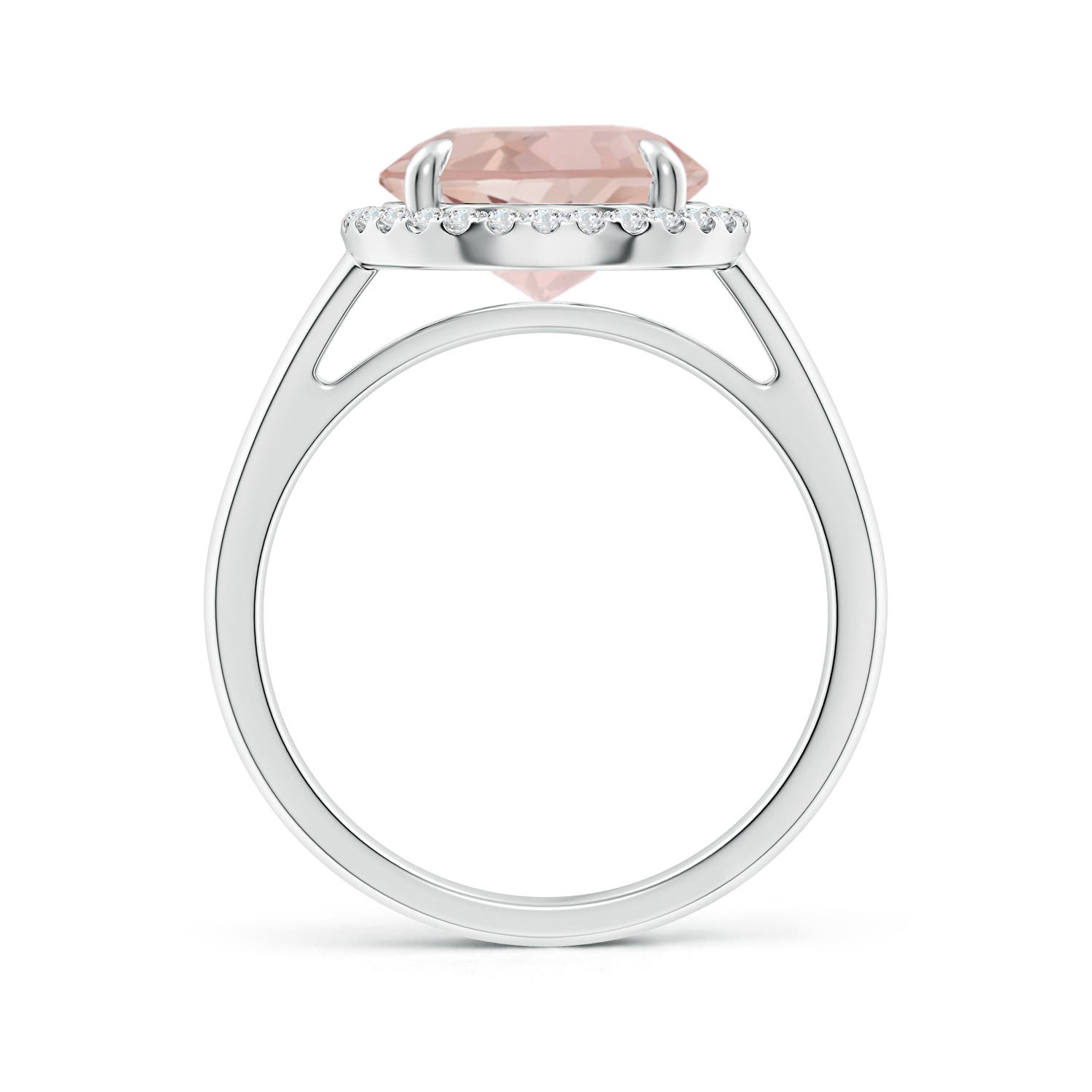 AA - Morganite / 3.57 CT / 14 KT White Gold