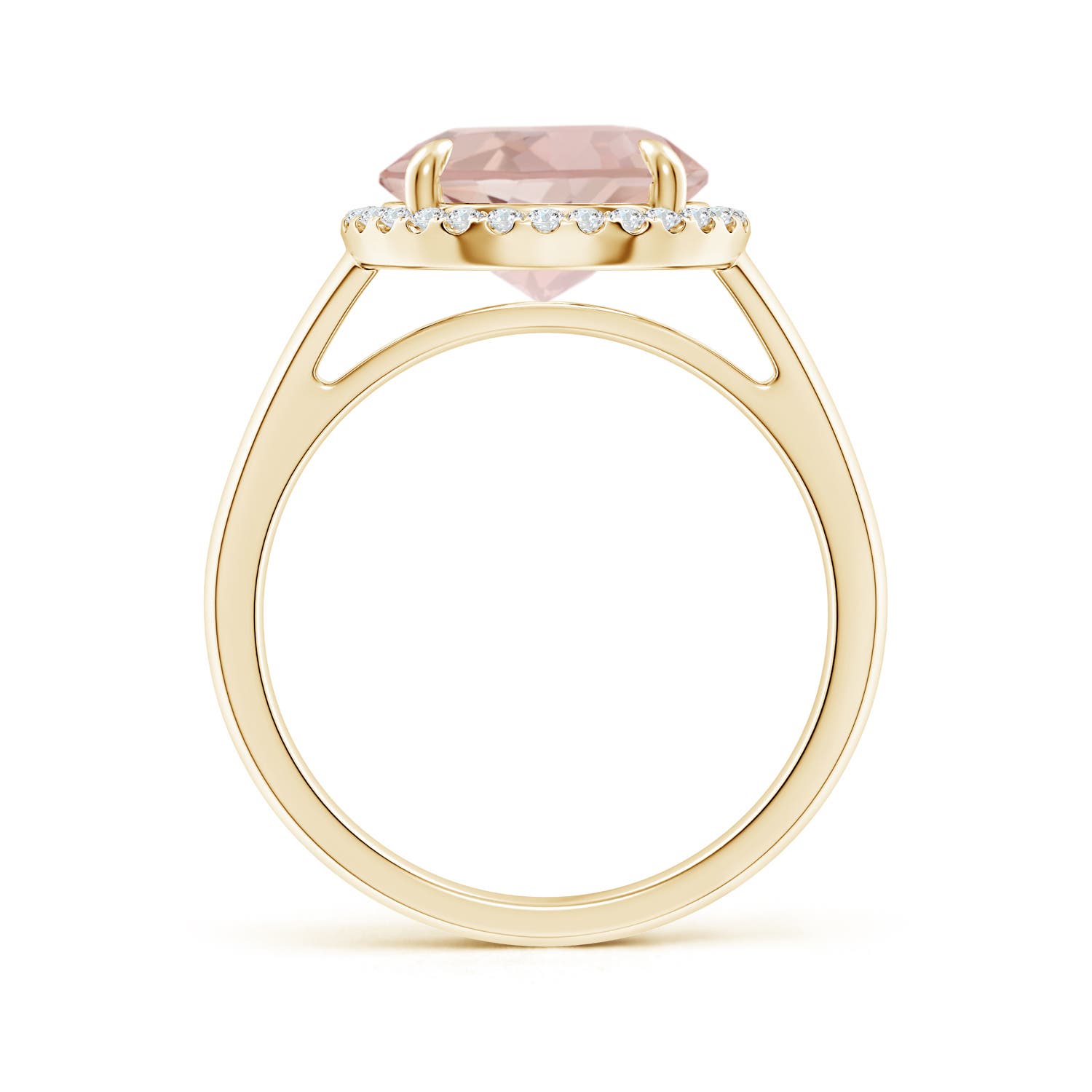 AA - Morganite / 3.57 CT / 14 KT Yellow Gold