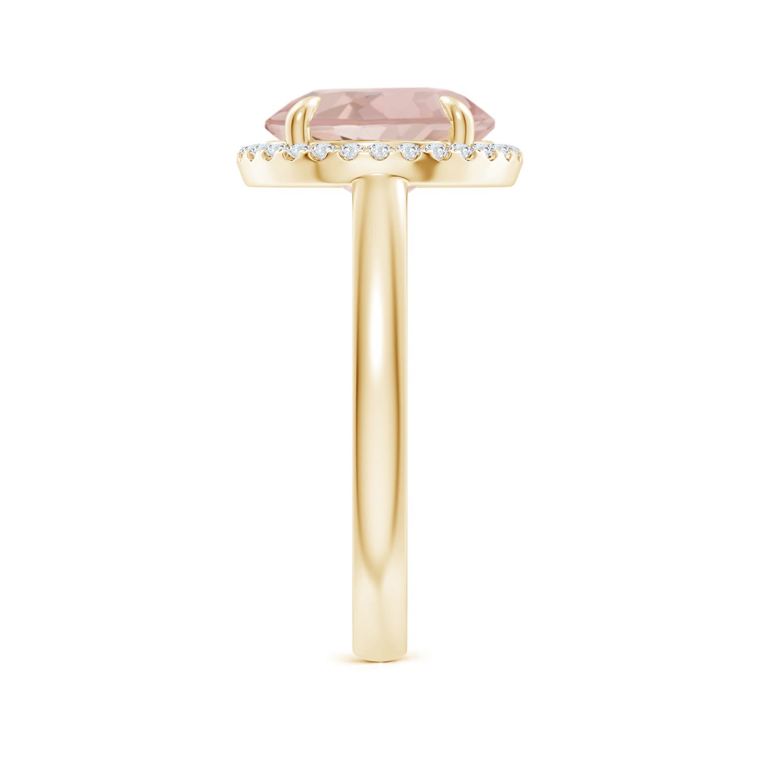 AA - Morganite / 3.57 CT / 14 KT Yellow Gold