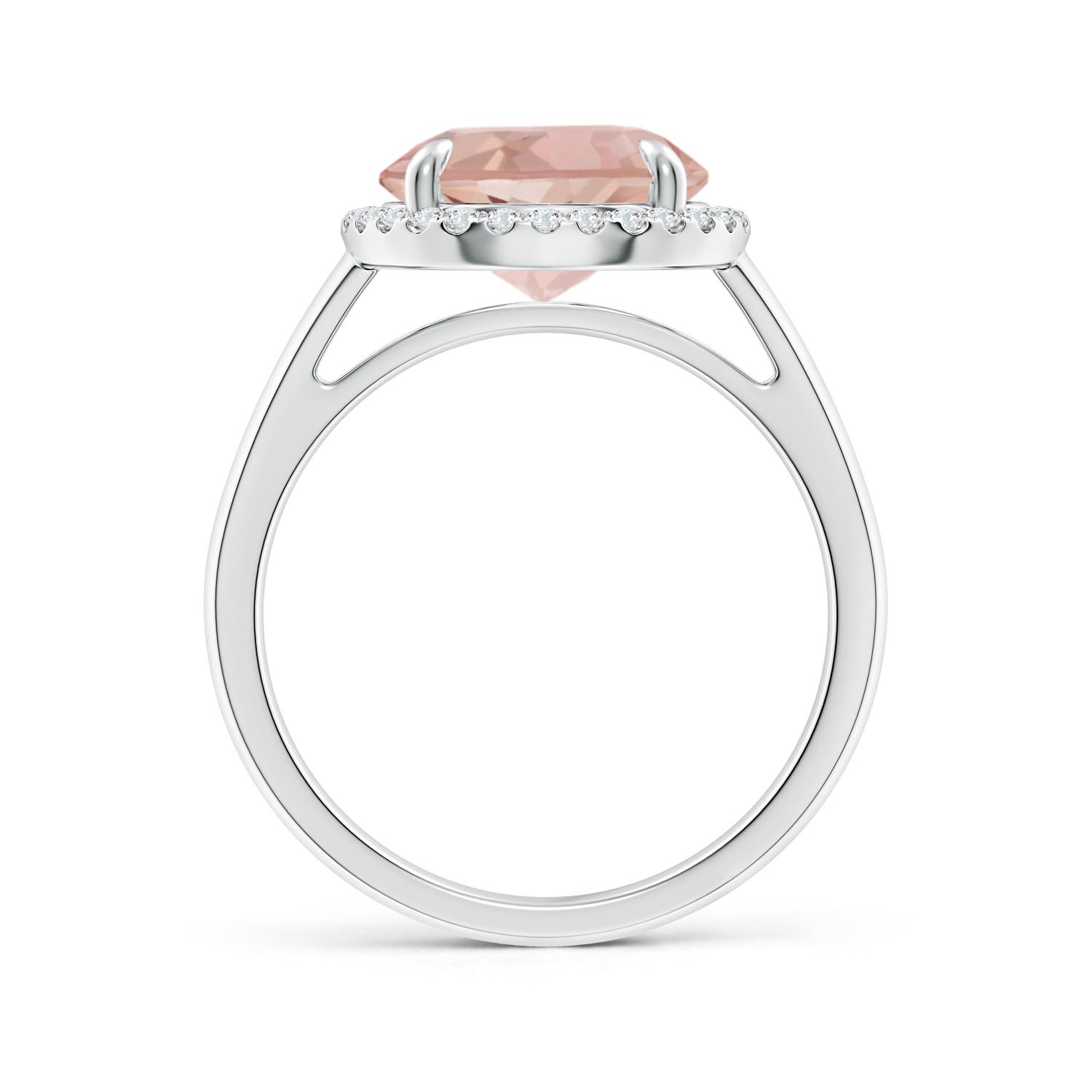 AAA - Morganite / 3.57 CT / 14 KT White Gold