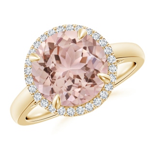 10mm AAA Round Morganite Cathedral Ring with Diamond Halo in Yellow Gold