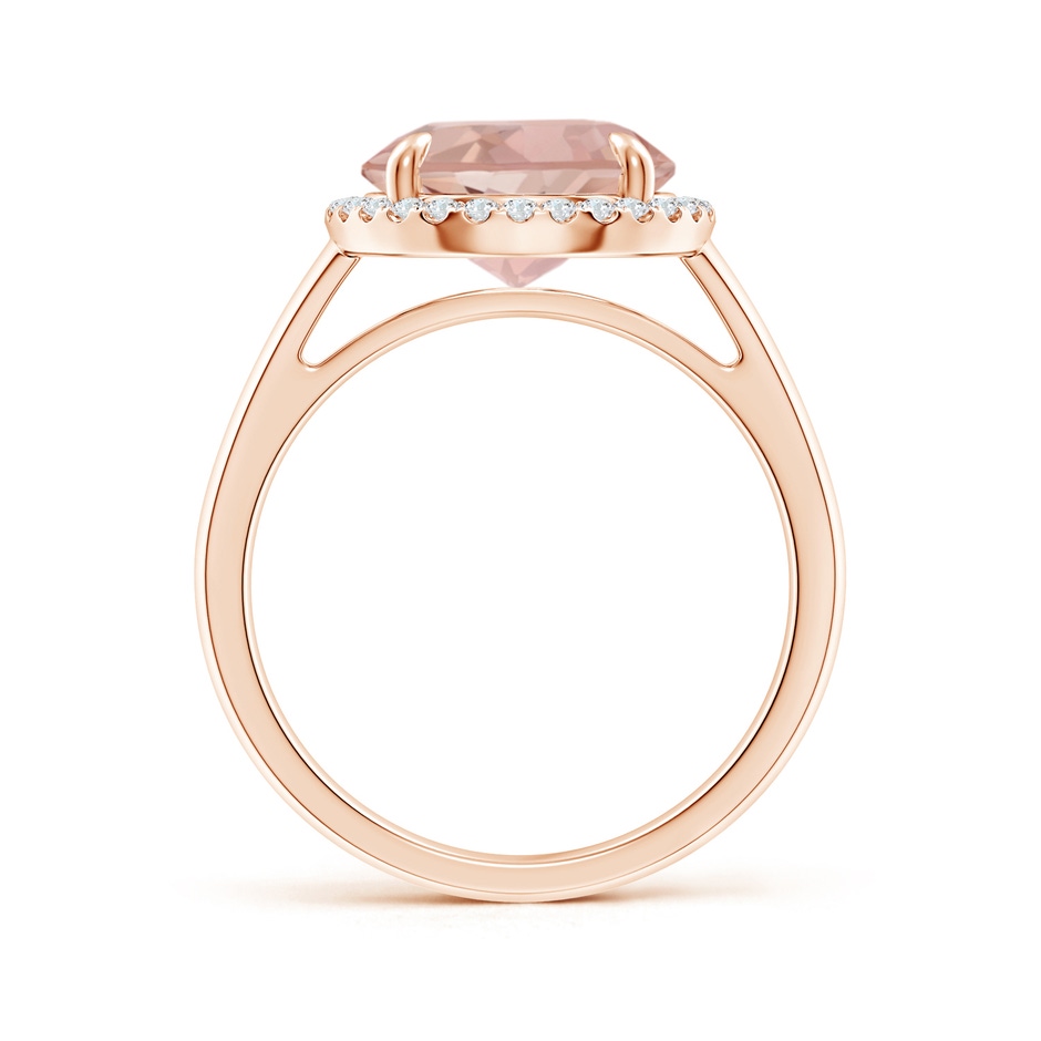 10mm AAAA Round Morganite Cathedral Ring with Diamond Halo in Rose Gold side-1