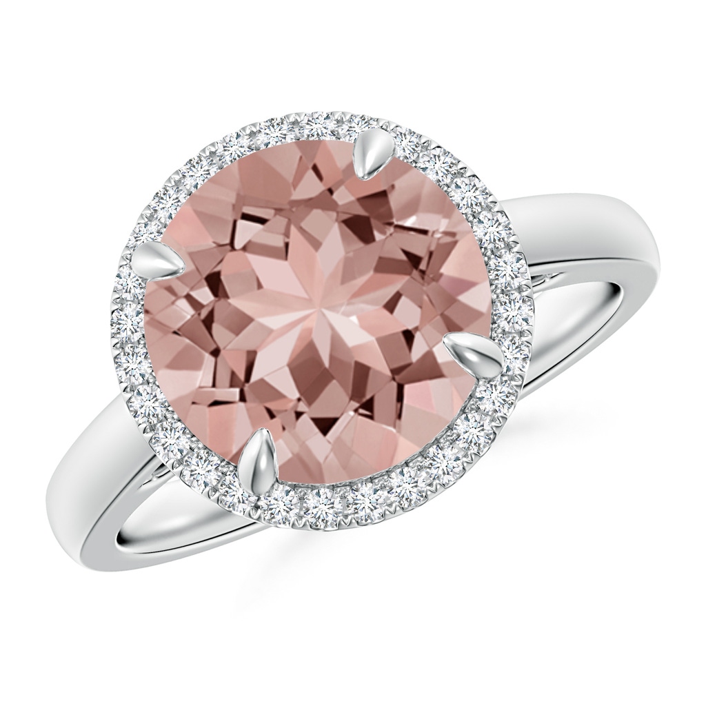 10mm AAAA Round Morganite Cathedral Ring with Diamond Halo in White Gold