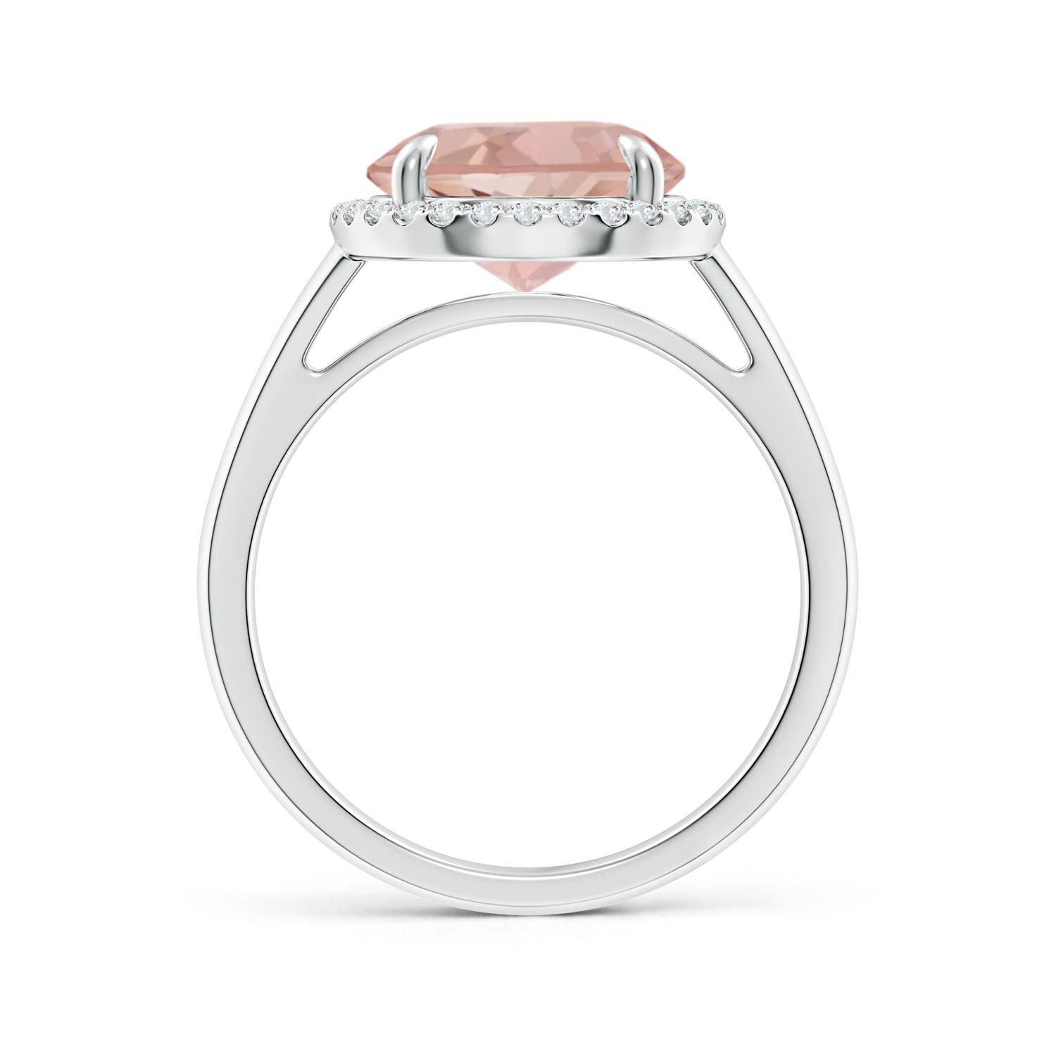 AAAA - Morganite / 3.57 CT / 14 KT White Gold