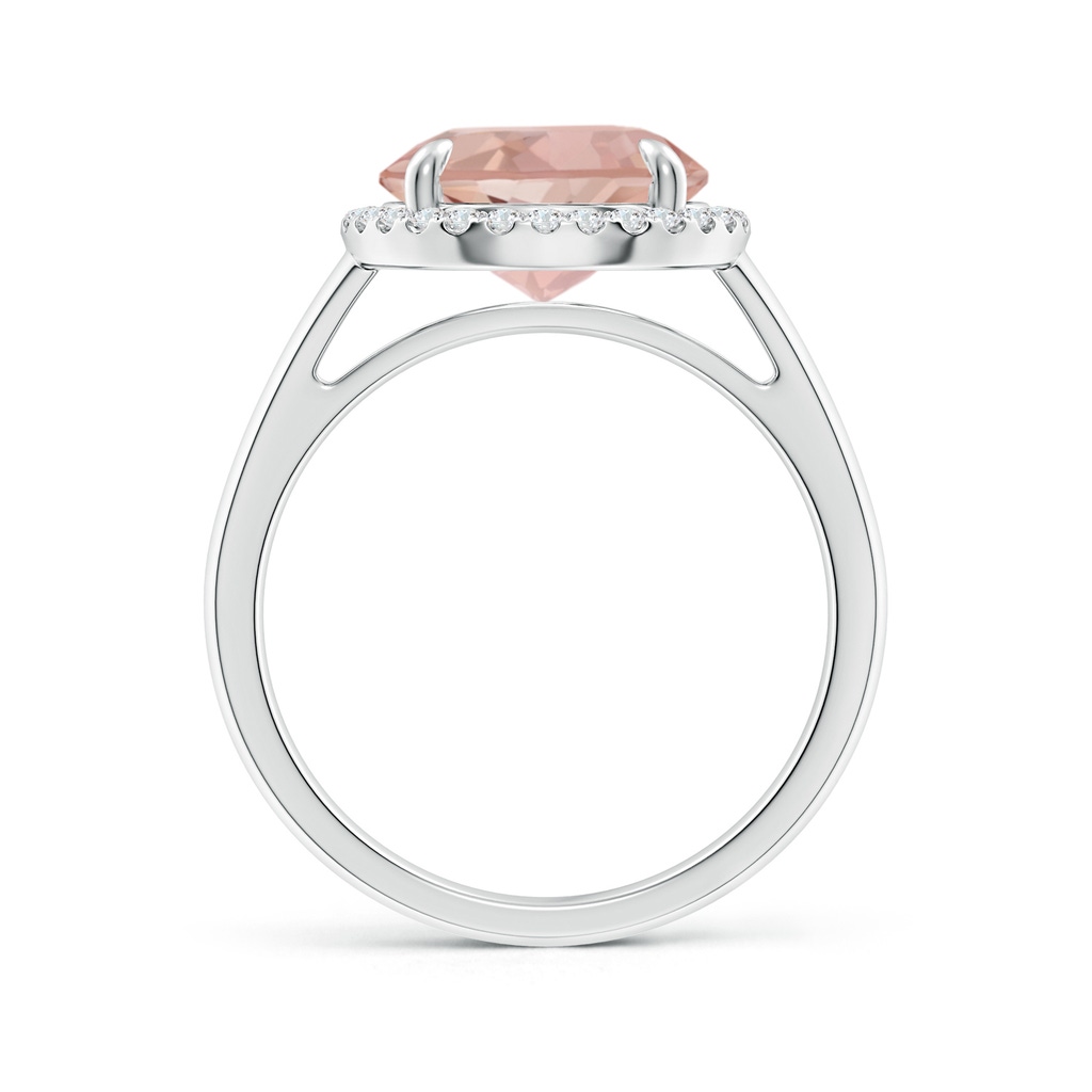 10mm AAAA Round Morganite Cathedral Ring with Diamond Halo in White Gold - side_1