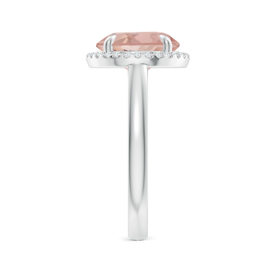 10mm AAAA Round Morganite Cathedral Ring with Diamond Halo in White Gold side-2