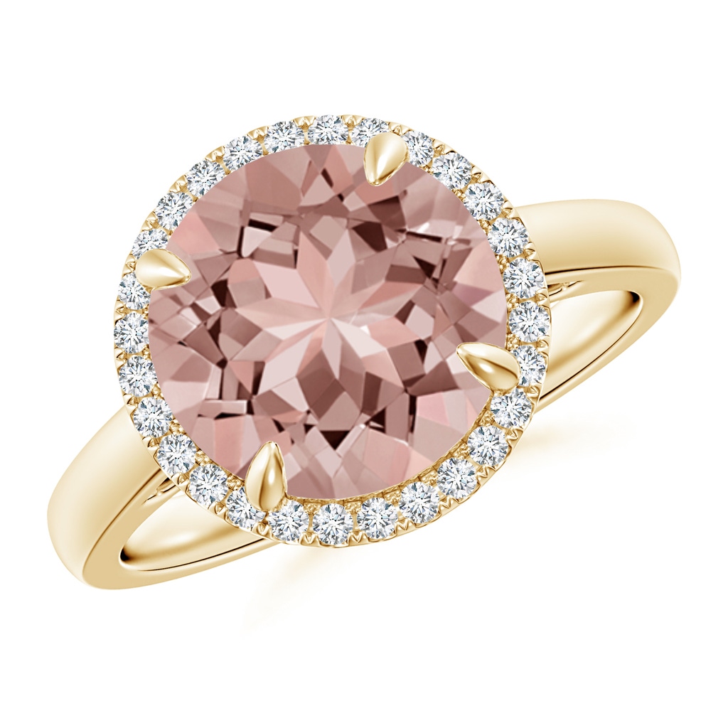 10mm AAAA Round Morganite Cathedral Ring with Diamond Halo in Yellow Gold