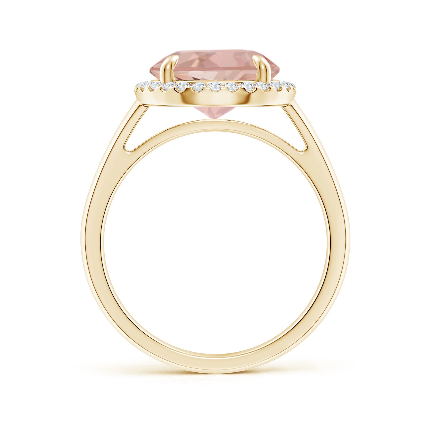 AAAA - Morganite / 3.57 CT / 14 KT Yellow Gold