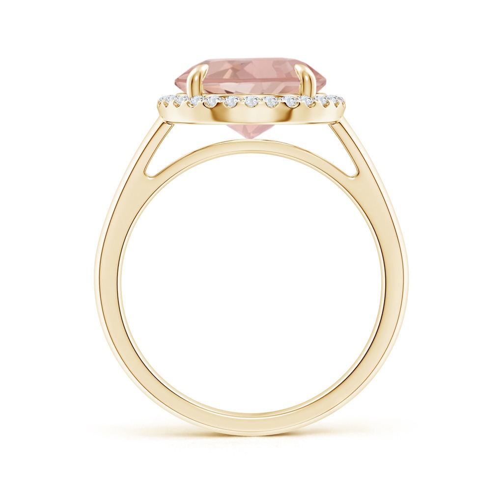 10mm AAAA Round Morganite Cathedral Ring with Diamond Halo in Yellow Gold - side_1