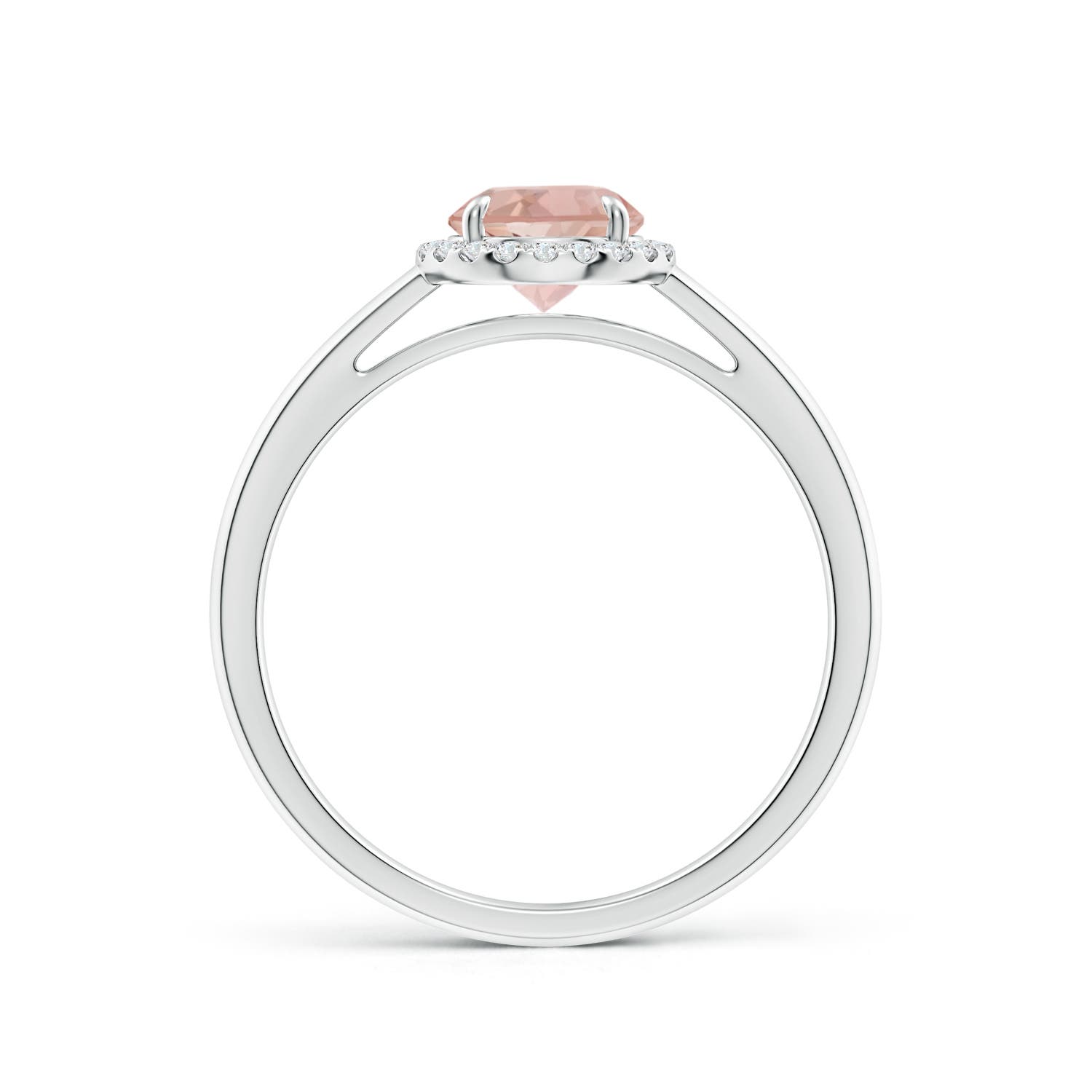 AAA - Morganite / 0.8 CT / 14 KT White Gold