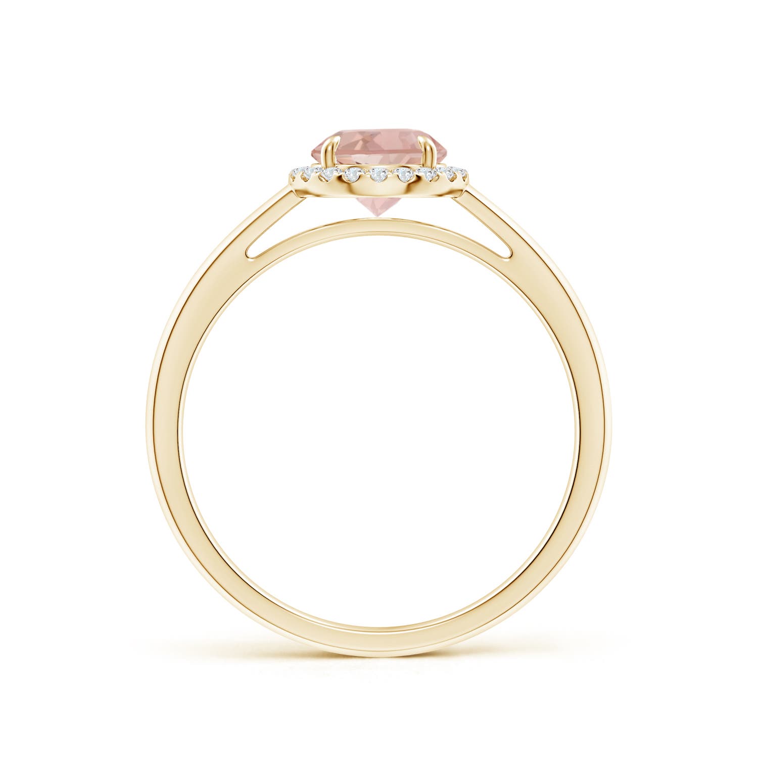 AAA - Morganite / 0.8 CT / 14 KT Yellow Gold