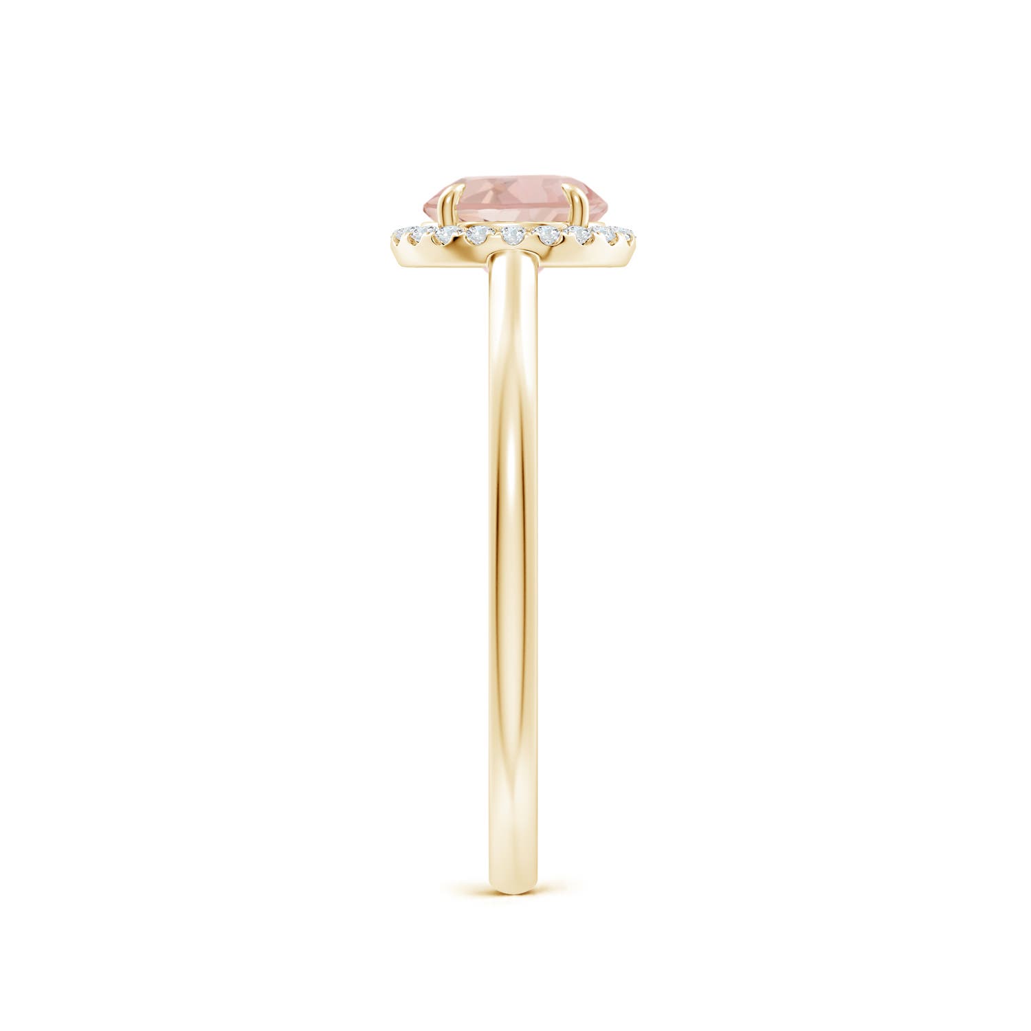 AAA - Morganite / 0.8 CT / 14 KT Yellow Gold