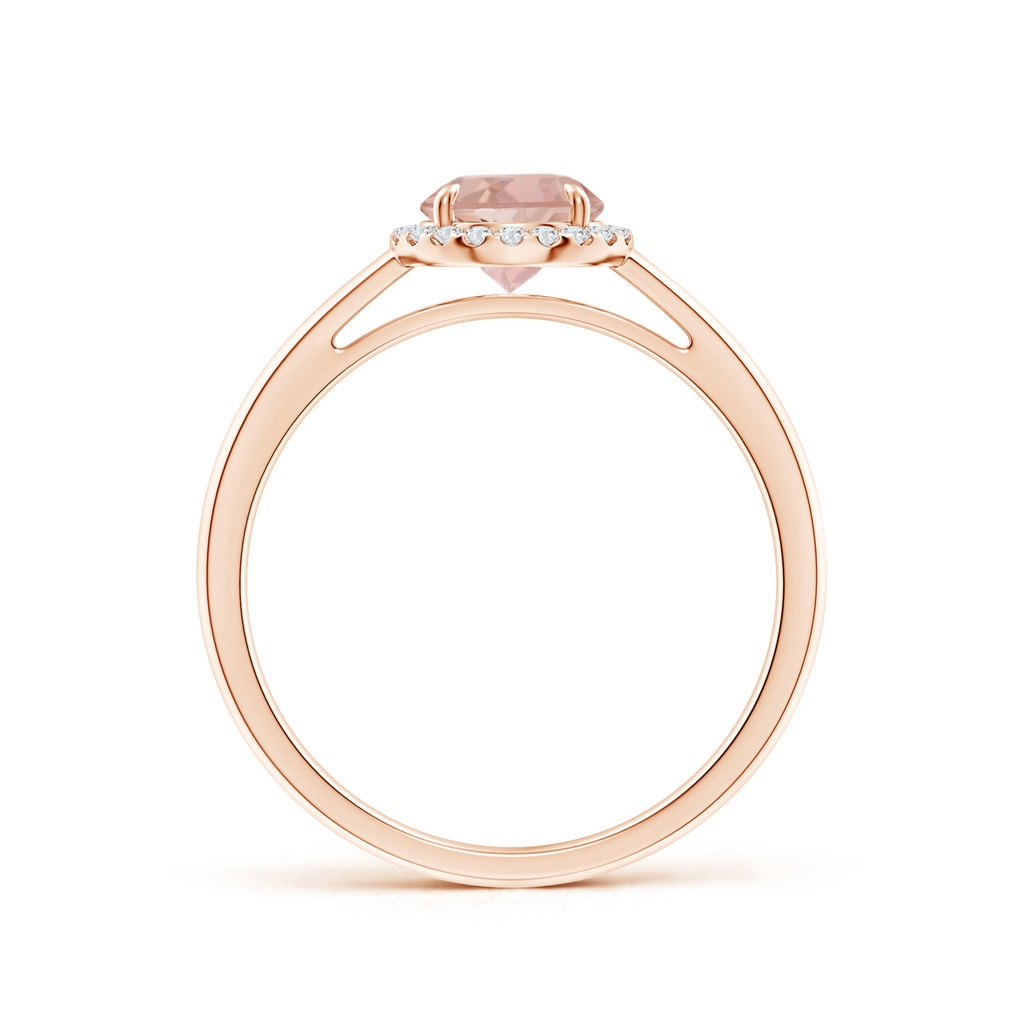 6mm AAAA Round Morganite Cathedral Ring with Diamond Halo in Rose Gold Side-1
