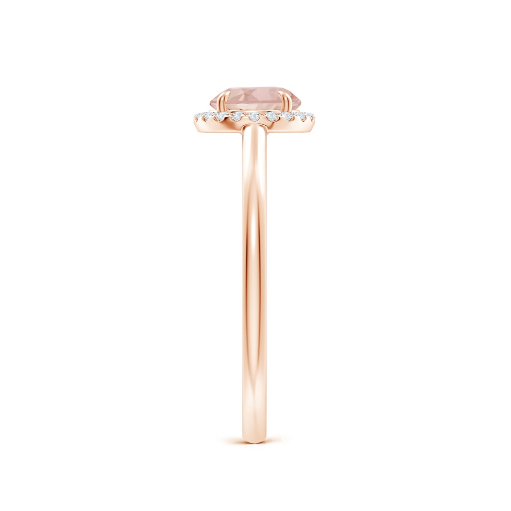6mm AAAA Round Morganite Cathedral Ring with Diamond Halo in Rose Gold Side-2