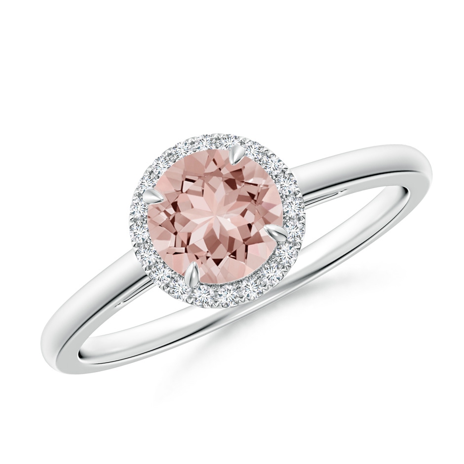 6mm AAAA Round Morganite Cathedral Ring with Diamond Halo in White Gold 