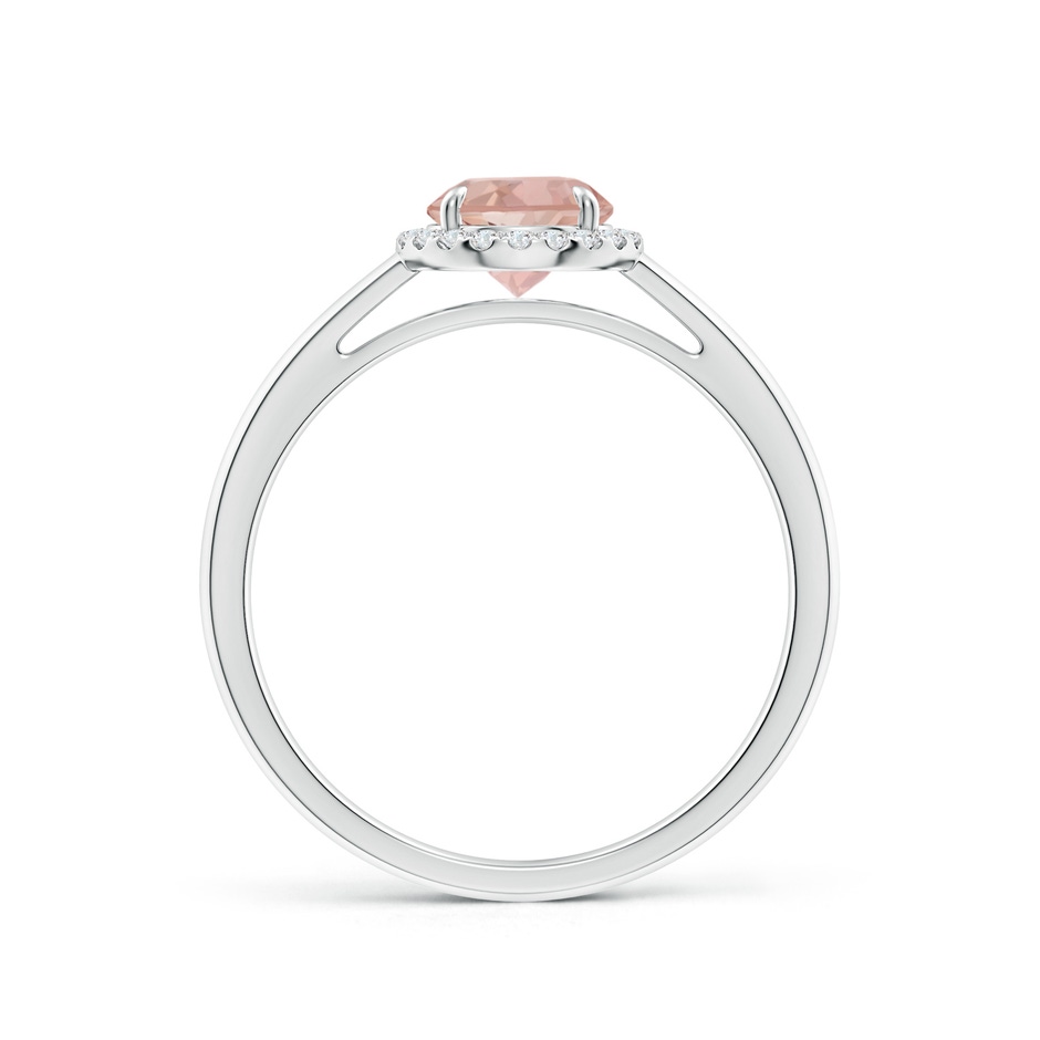 6mm AAAA Round Morganite Cathedral Ring with Diamond Halo in White Gold side-1