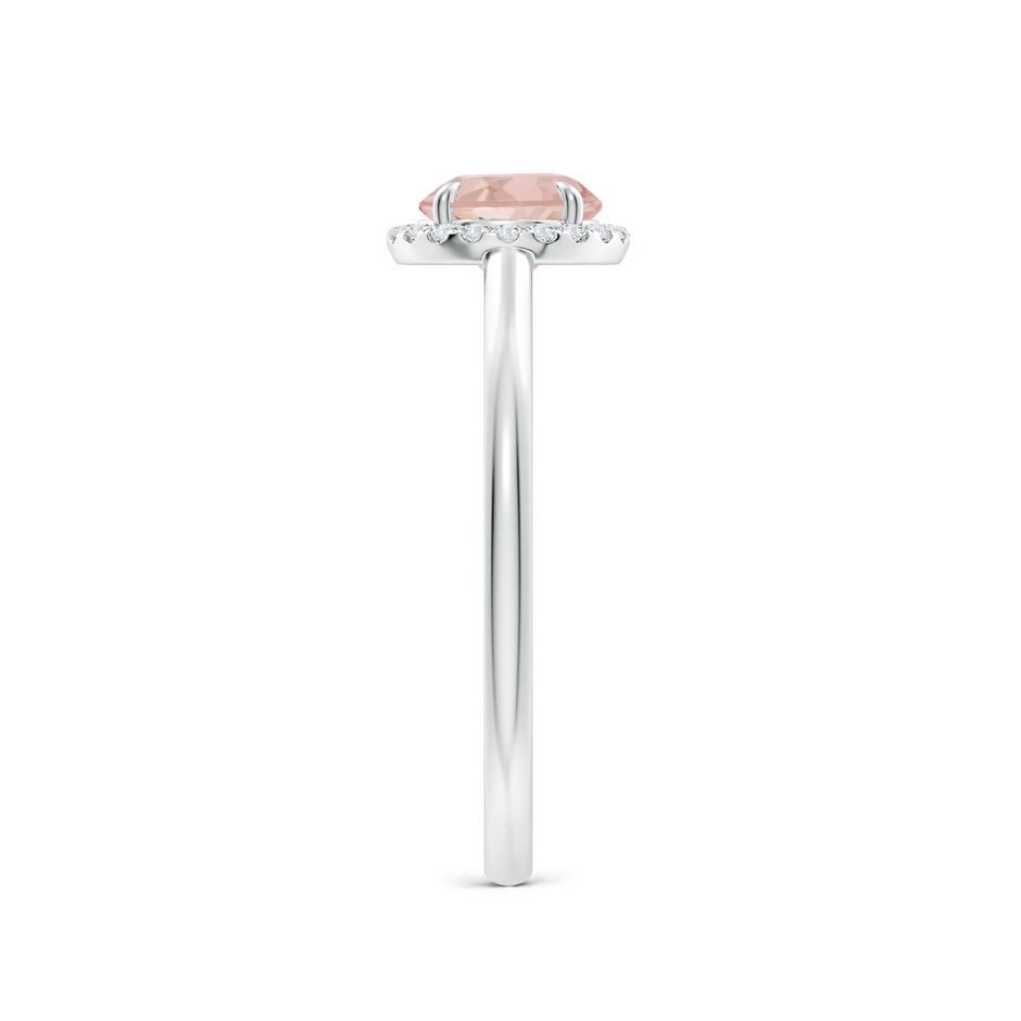 6mm AAAA Round Morganite Cathedral Ring with Diamond Halo in White Gold side-2