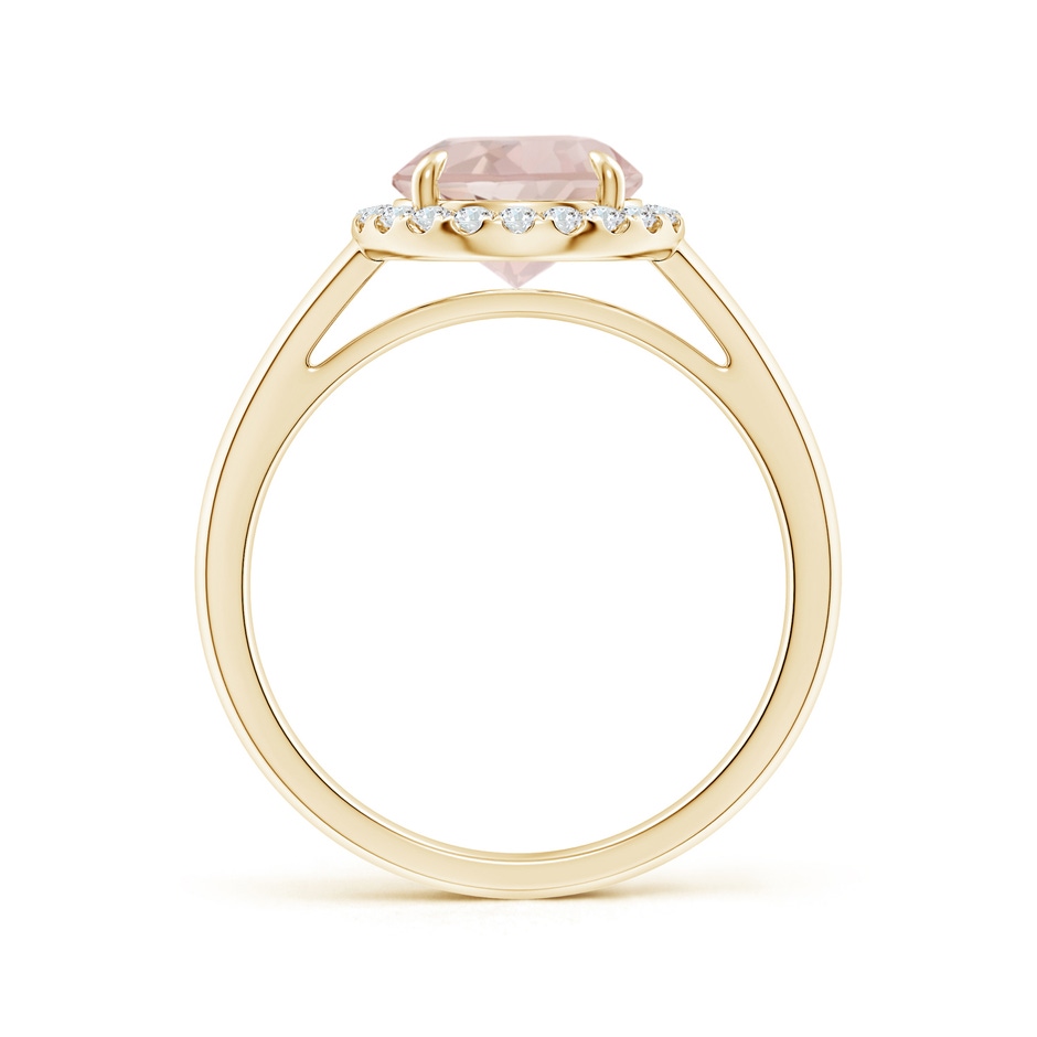 8mm A Round Morganite Cathedral Ring with Diamond Halo in Yellow Gold side-1