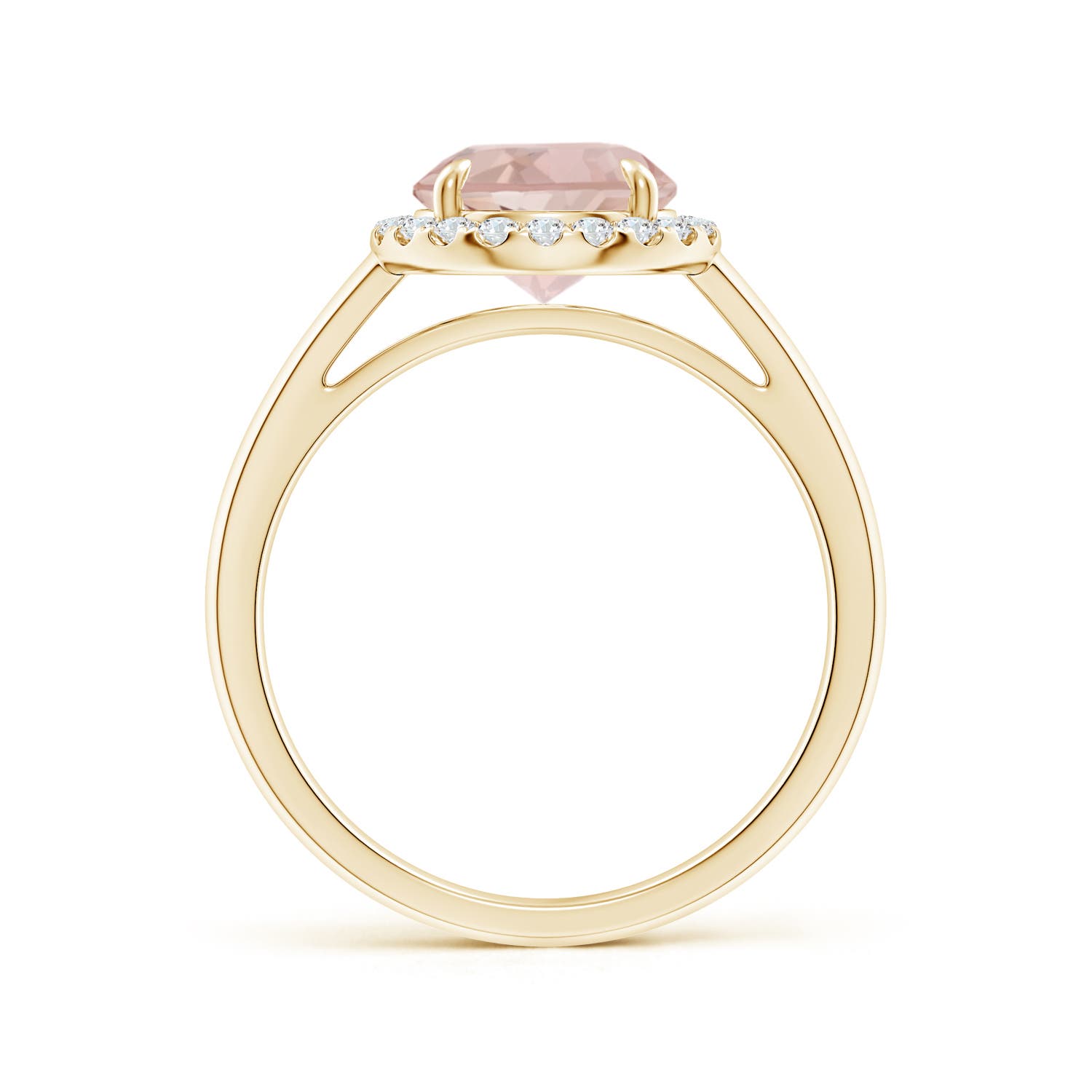 AA - Morganite / 1.81 CT / 14 KT Yellow Gold