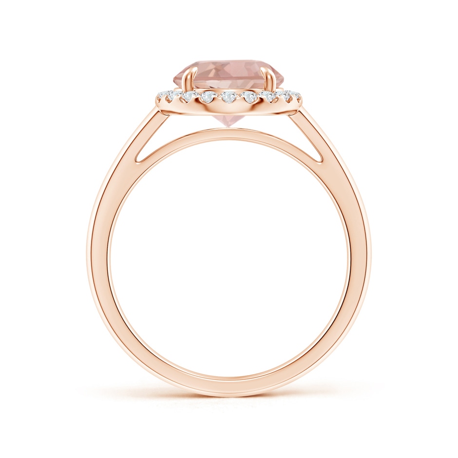 8mm AAA Round Morganite Cathedral Ring with Diamond Halo in Rose Gold side-1