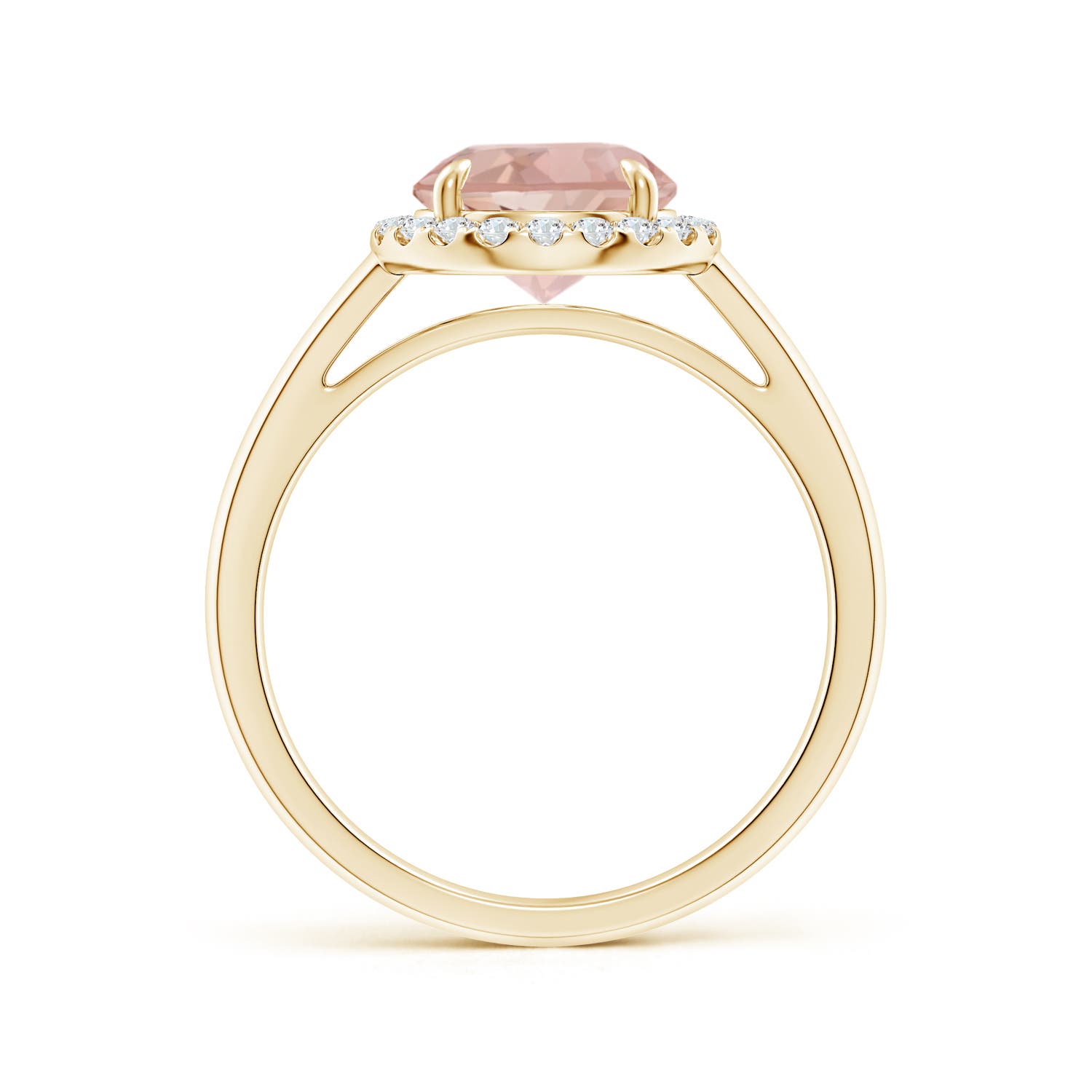 AAA - Morganite / 1.81 CT / 14 KT Yellow Gold