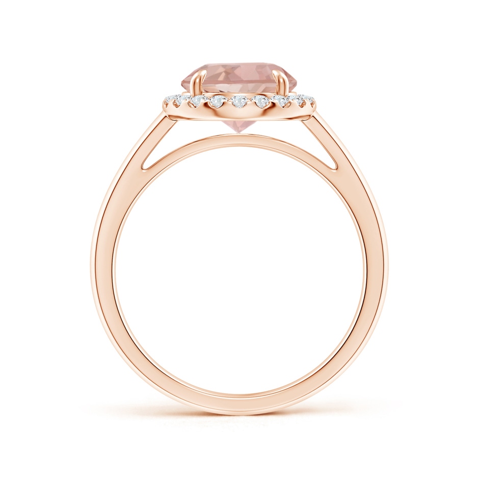 8mm AAAA Round Morganite Cathedral Ring with Diamond Halo in Rose Gold side-1