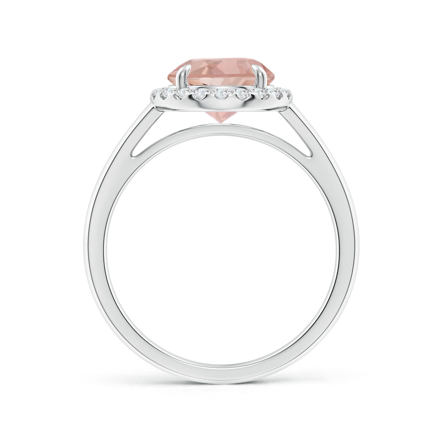 AAAA - Morganite / 1.81 CT / 14 KT White Gold