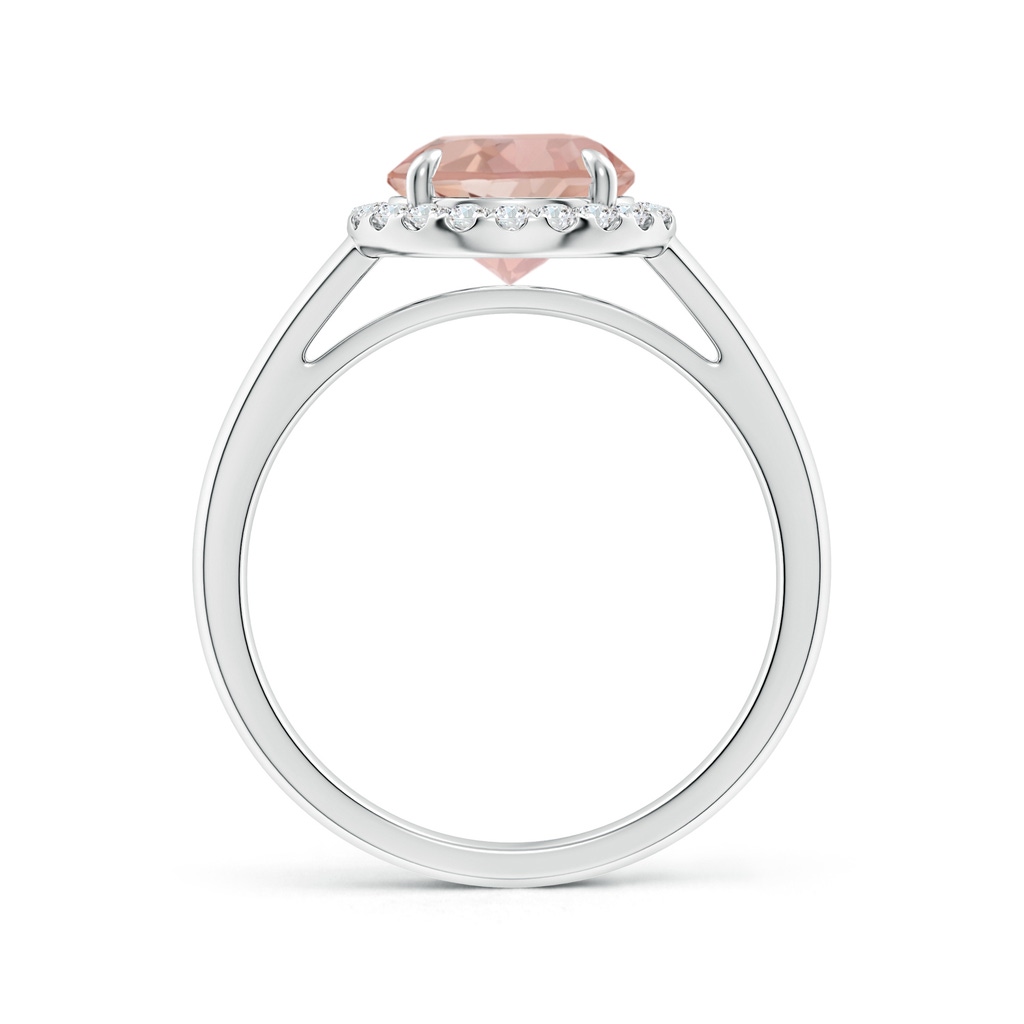 8mm AAAA Round Morganite Cathedral Ring with Diamond Halo in White Gold Side-1