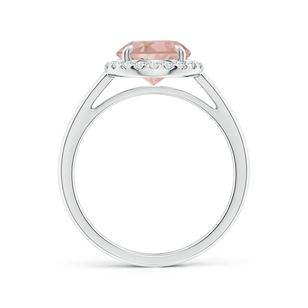 8mm AAAA Round Morganite Cathedral Ring with Diamond Halo in White Gold - side_1
